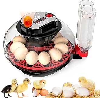 Incubator with Automatic Egg Turning and Humidity Control, Incubators for Hatching Eggs, Chicken, Ducks, Goose, Pigeon, Quail, Parrot Incubator for Farm, Lab, Science Classroom, Home
